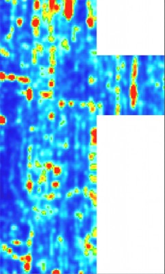 Figure 6. Area D, reflecting the data collected by the ground-penetrating radar (image: K. Simon).